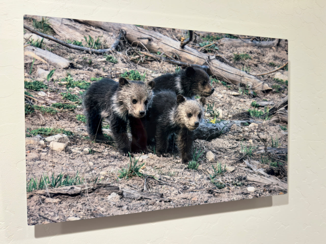 Staying Close and Watching Mom