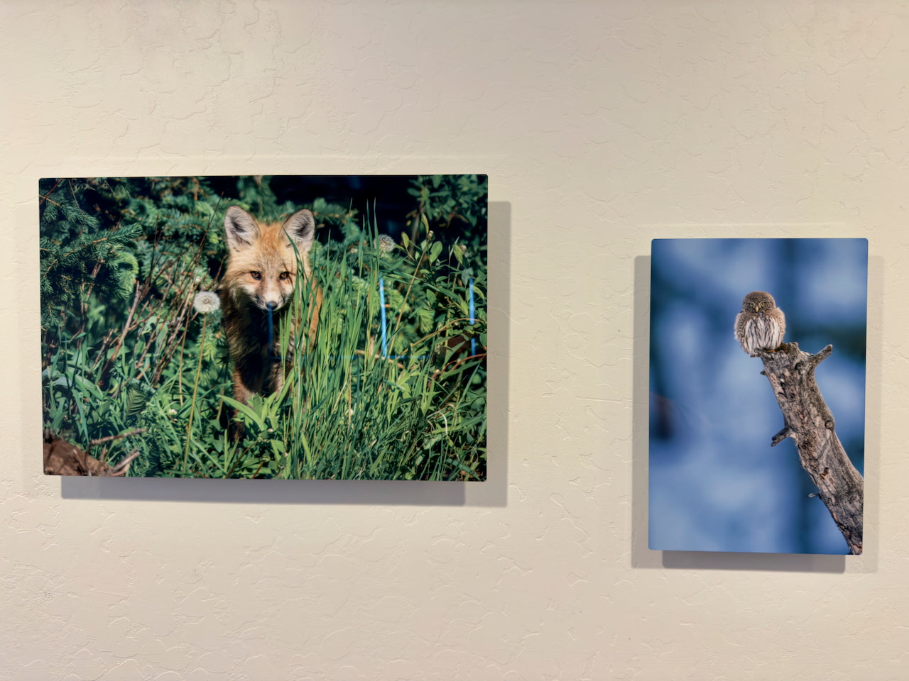 Size comparison between 12x18 and 12x8 metal prints