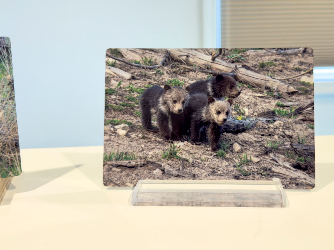 Staying Close and Watching Mom